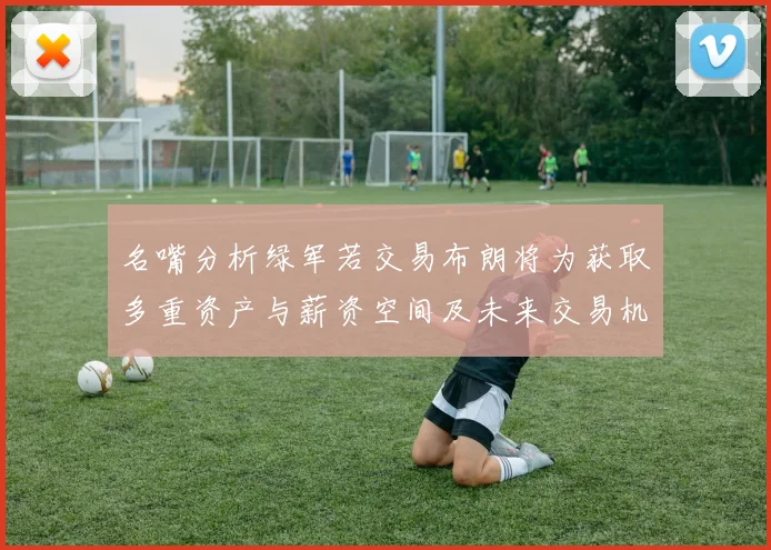 名嘴分析绿军若交易布朗将为获取多重资产与薪资空间及未来交易机会