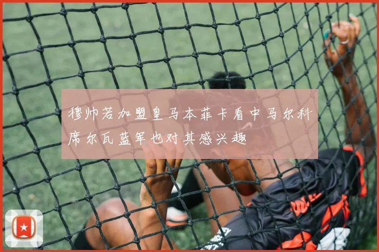 穆帅若加盟皇马本菲卡看中马尔科席尔瓦蓝军也对其感兴趣